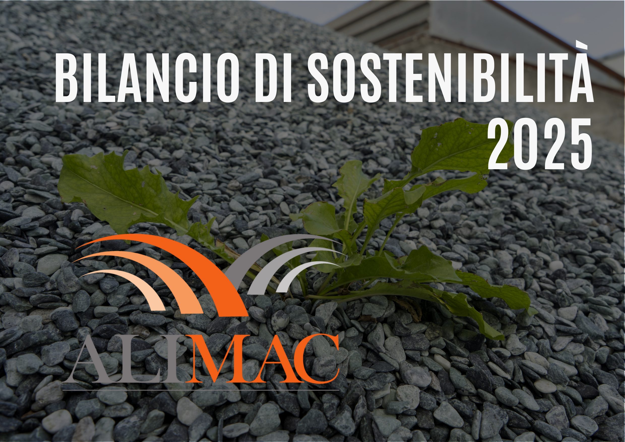 Bilancio Alimac 2025
